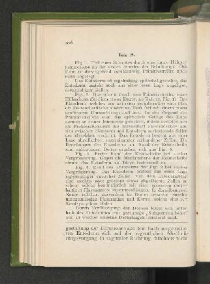 Tab. 12.