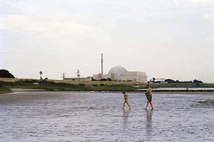 Das Ding am Deich - Vom Widerstand gegen ein Atomkraftwerk