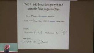 Spreading strategies and morphology of bacterial colonies: Interplay between passive physico-chemical effects and bioactive growth