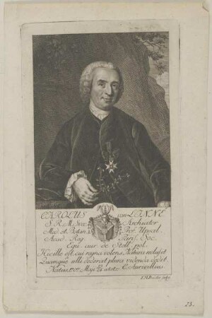 Bildnis des Carolus von Linné