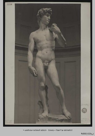 David