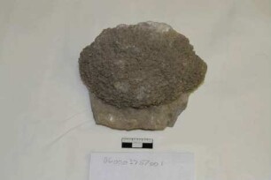 Strontianit mit nadeligem Kristallen