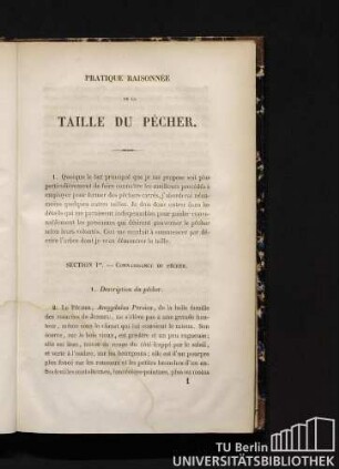 1. Description du pêcher.