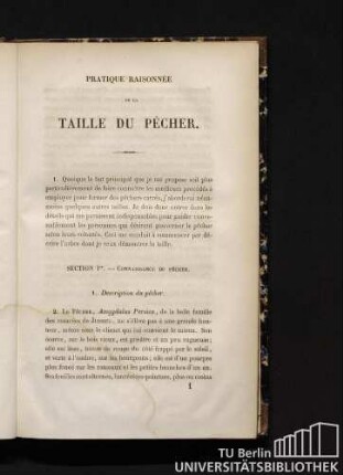 1. Description du pêcher.