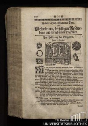 Kraeuter-Buchs Siebender Theil, von Edelgesteinen, derselbigen Beschreibung und fuernehmsten Tugenden.
