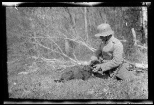Nicht identifizierbare Gegend in Nordfrankreich oder Belgien: Soldat mit Stahlhelm und Hund im Sitz neben einer gefällten kleinen Birke (Seitansicht, Nahaufnahme)