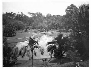 Buitenzorg (Bogor) (Java/Indonesien). Botanischer Garten (1817; K. G. K. Reinwardt). Blick von erhöhtem Standort auf Lotusteich mit Steg