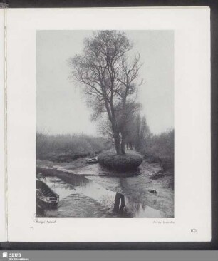 An der Unterelbe