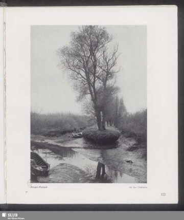 An der Unterelbe