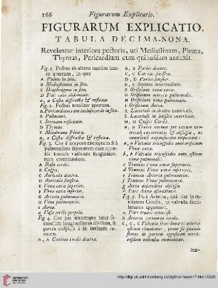 Figurarum explicatio: Tabula decima-nona