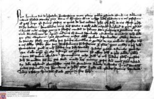 Ginsheim: Expeditio ulterior Litterae praecedentis cum ratificatione Philippi, Secundi filii Hermanni de Hohenfels