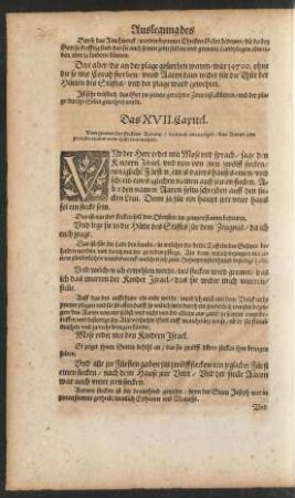 Das XVII. Capitel.