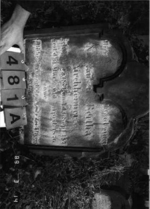 Grabstein 481 (Index: 100093130) Zustand: stark verwittert, Inschrift auf Vorderseite ist verloren Maße HxBxT: 72x58x22 cm Besonderheit: Doppelkindergrab für Geschwister: Grabstein 481A