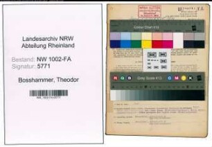 Entnazifizierung Theodor Bosshammer, geb. 28.03.1904 (Kaufm.Angest.)