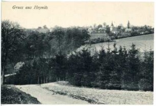 Heynitz. Blick auf Heynitz