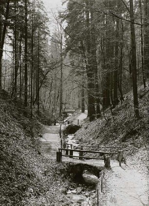 Friedrichsgrund mit Friedrichsgrundbach bei Pillnitz, Weg mit Brücken
