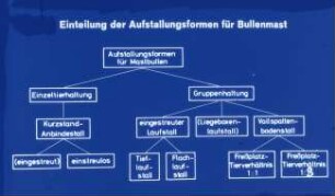 Einteilung der Aufstallungsformen für Bullenmast