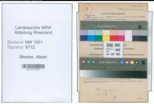 Entnazifizierung Albert Meister , geb. 14.01.1895 (Buergermeister)