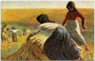 Frauen bei der Getreideernte