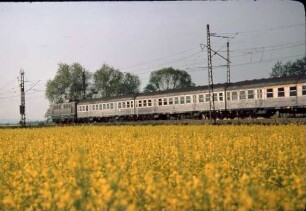 Eggolsheim Lok 140 114