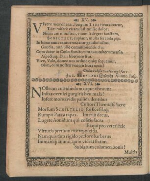 XVI. [XVII.]