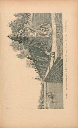 Un angle de la citadelle de Préakhan. (D'après Delaporte : Voyage au Cambodge. - Ch. Delagrave.)