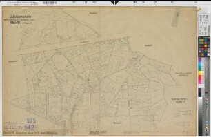Mettingen (Mettingen), Flurbereinigung Schlickelde, Bl. 30 Schätzungskarte Recke Flur 10