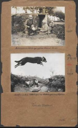 Meldehund als Überbringer gefüllter Feldkessel