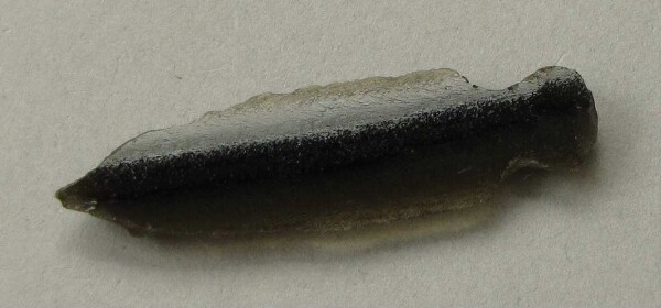 Obsidian tip