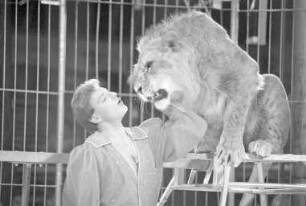 Gastspiel des Zirkus Hagenbeck auf dem Messplatz in Karlsruhe