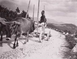 Kroatien, Erntewagen