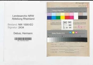 Entnazifizierung Hermann Debus, geb. 08.08.1892 (Schiffer)