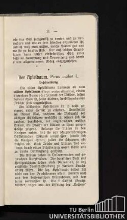 Der Apfelbaum, Pirus malus L. Beschreibung.