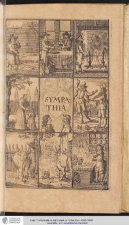 [Graphik SYMPATHIA]