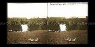 Blick von Bruhnskoppel über den Krummsee, Eutin
