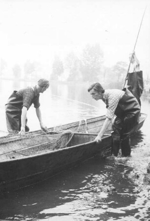 Fischerei in Peitz : Handwerkstechniken - Fischerei. Ort: Picnjo / Peitz. Abfischen beim traditionellen Fischerfest.