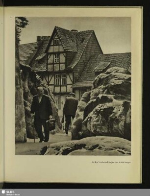 In den Sandsteinklippen des Schloßberges