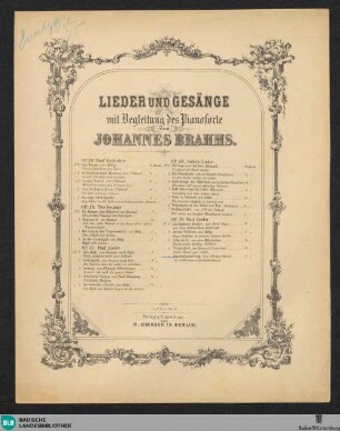 5: Abenddämmerung