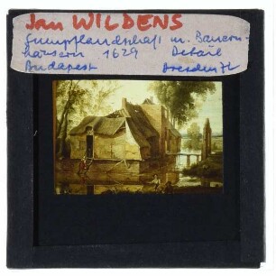 Wildens, Moorlandschaft : Detail