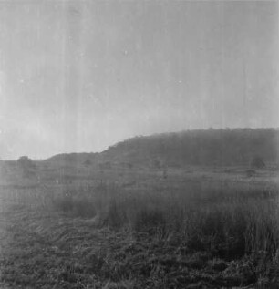 Feld : Blick über ein im Nebel liegendes Feld