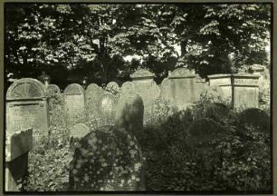 Bei Landau, alter jüdischer Friedhof, westl. Teil