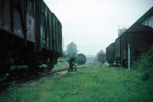 Reinstetten Lok 251 903 Güterzug Rangierfahrt Handweiche