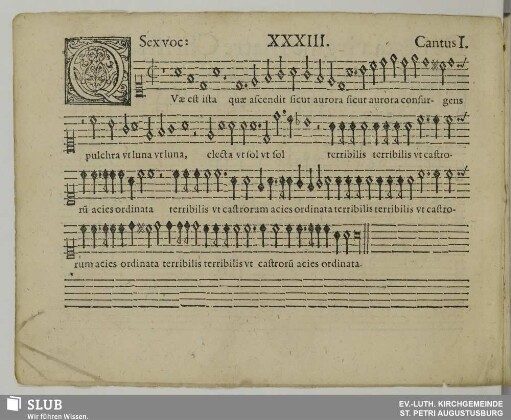 XXXIII. Quae est ista quae ascendit