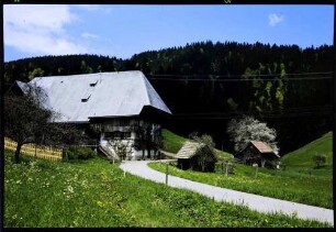 Breitnau: Schwarzwaldhof, Vordergrund Weg zum Hof