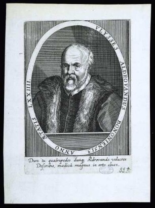 Aldrovandi, Ulisse