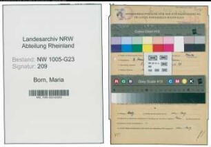 Entnazifizierung Maria Born , geb. 03.06.1899 (Schneiderin)