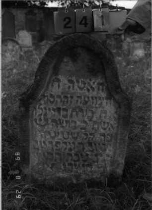 Grabstein 241 (Index: 100107592) Material: heller Sandstein Zustand: stark verwittert und versalzen, eingesunken Maße HxBxT: 90x56x12 cm Beschreibung: Stele mit geschwungenem und überhöhtem Bogenabschluß, Schriftfeld eingetieft: Grabstein 241