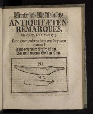 Cimbrisch-Hollsteinische Antiquitæten-Remarques. 12te Woche/ den 21 Mart. 1719.