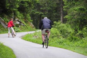 Radfahrer in Wald : Zwei Radfahrer fahren durch den Wald bergauf. Aufgenommen im Stilluptal bei Mayrhofen (Tirol) am 28. Mai 2009