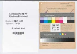 Entnazifizierung Kurt Schubert, geb. 25.09.1894 (Wirtschaftspruefer)